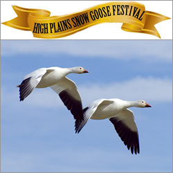 High Plains Snow Goose Festival