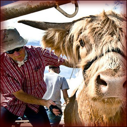 Boulder County Fair Colorado