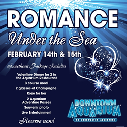 Romance Under the Sea Denver