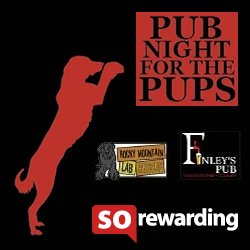 Pub night for the Pups