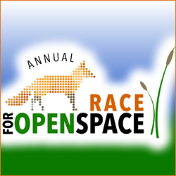 Race for Open Space 