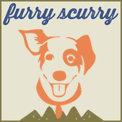 Dumb Friends League Furry Scurry