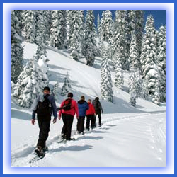 Winter Trails Day - RMNP